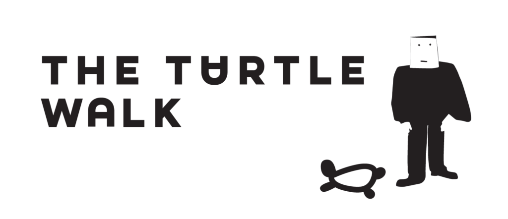 turtle walk for website